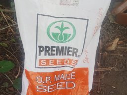 Seed for Planting